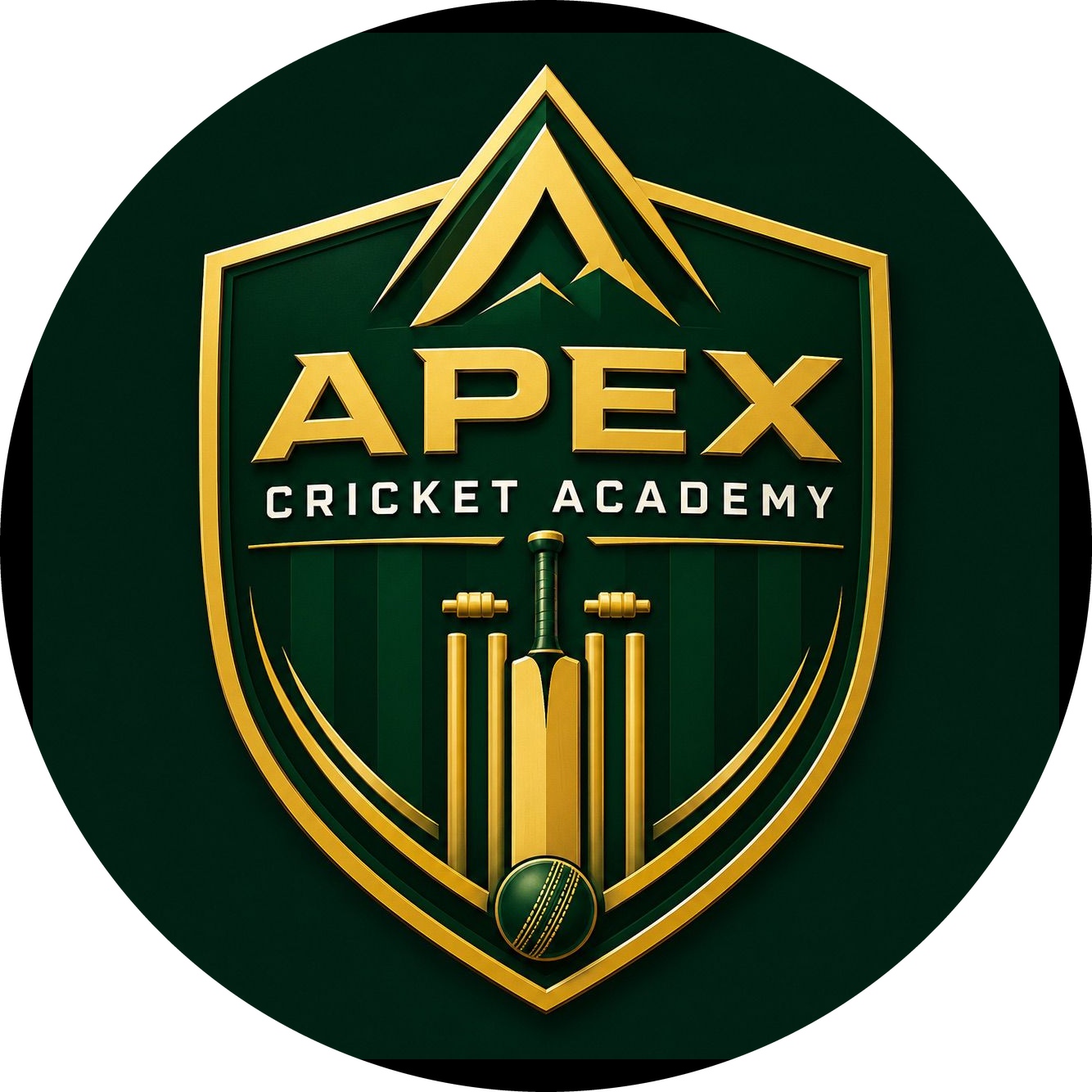 Apex Cricket Academy